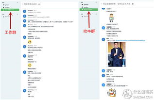 原創新人省小錢辦大事 群暉DS216 II網絡存儲NAS服務器搭建數據中心靠譜嗎？